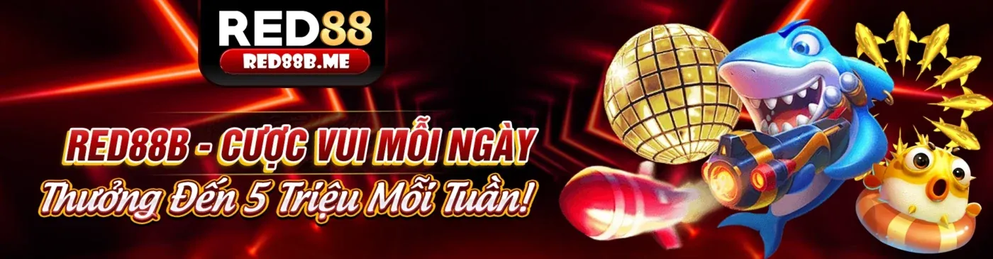 Hình ảnh chính trang liên hệ SX88 hiện đang mở